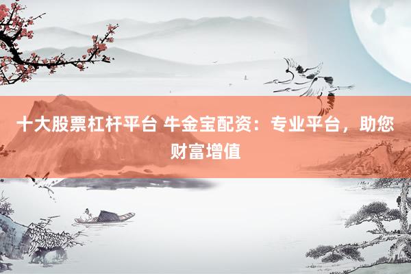 十大股票杠杆平台 牛金宝配资：专业平台，助您财富增值