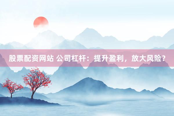股票配资网站 公司杠杆：提升盈利，放大风险？