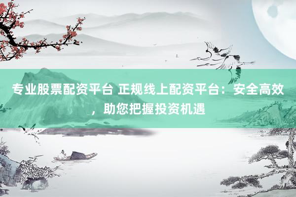 专业股票配资平台 正规线上配资平台：安全高效，助您把握投资机遇