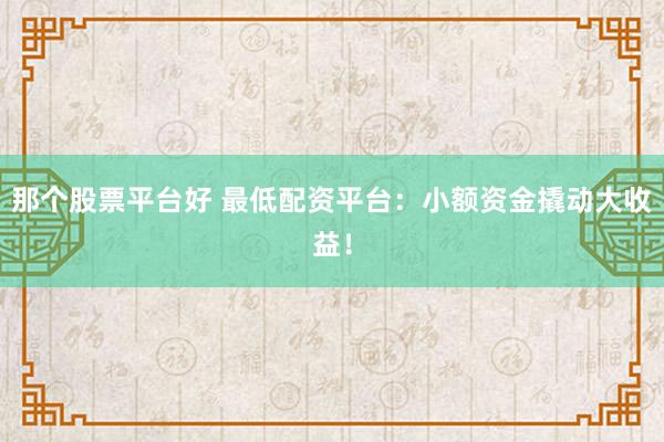 那个股票平台好 最低配资平台：小额资金撬动大收益！