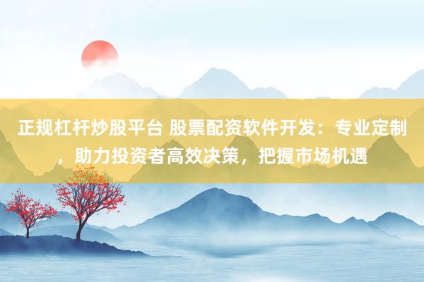 正规杠杆炒股平台 股票配资软件开发：专业定制，助力投资者高效决策，把握市场机遇