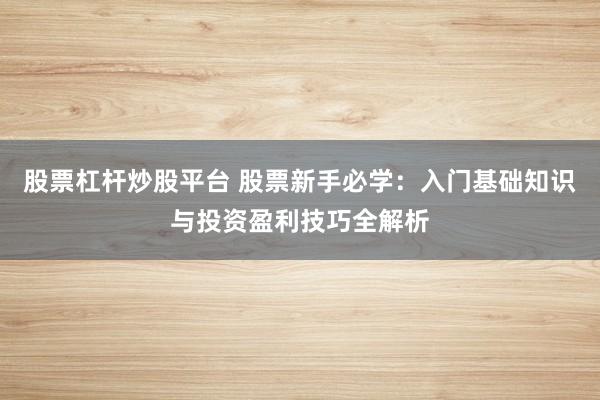 股票杠杆炒股平台 股票新手必学：入门基础知识与投资盈利技巧全解析