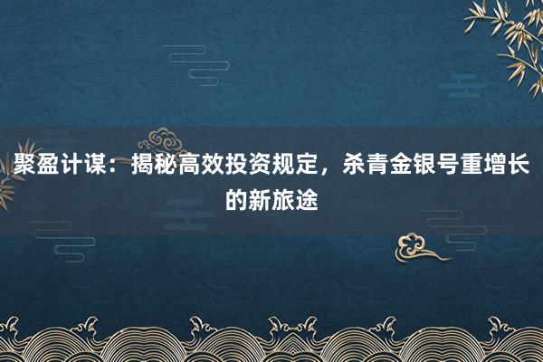 聚盈计谋:揭秘高效投资规定,杀青金银号重增长的新旅途