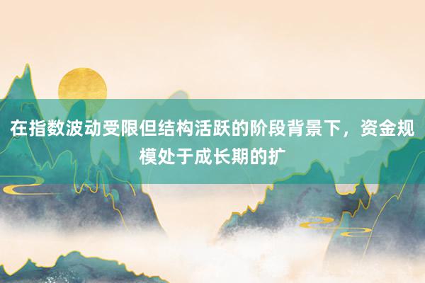 在指数波动受限但结构活跃的阶段背景下，资金规模处于成长期的扩