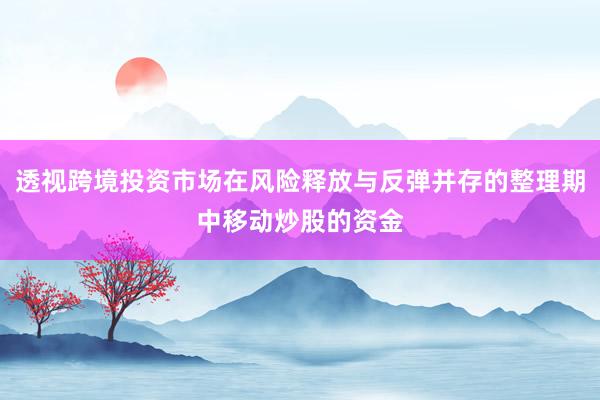 透视跨境投资市场在风险释放与反弹并存的整理期中移动炒股的资金