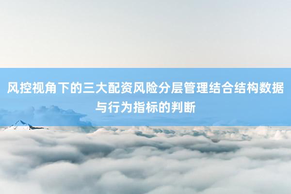 风控视角下的三大配资风险分层管理结合结构数据与行为指标的判断