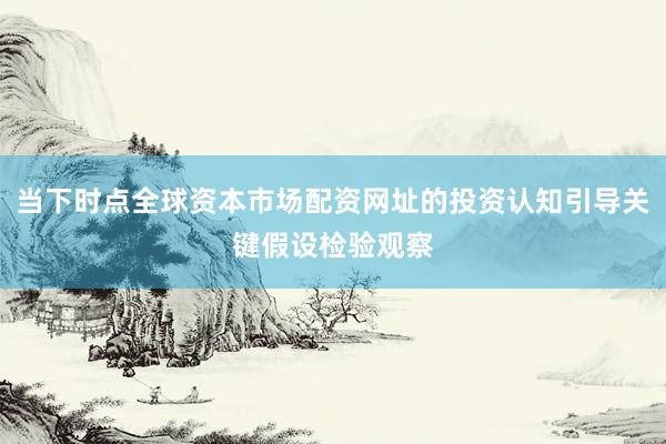 当下时点全球资本市场配资网址的投资认知引导关键假设检验观察