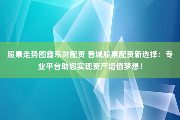 股票走势图鑫东财配资 晋城股票配资新选择：专业平台助您实现资产增值梦想！