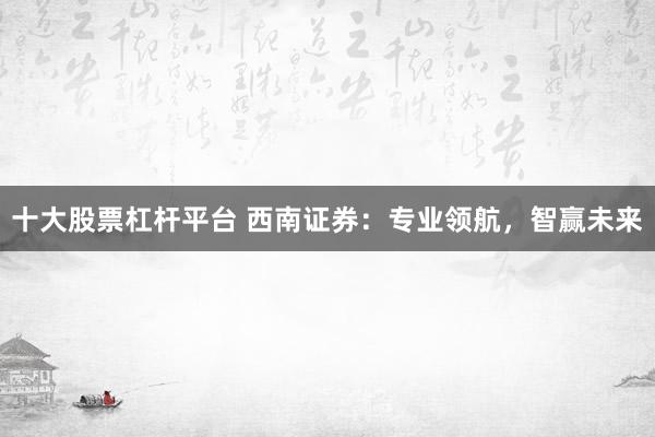 十大股票杠杆平台 西南证券：专业领航，智赢未来