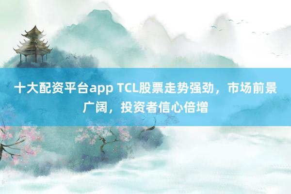 十大配资平台app TCL股票走势强劲，市场前景广阔，投资者信心倍增